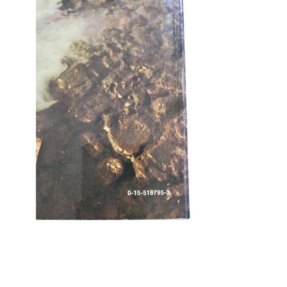 Economic growth and environmental decay the solution becomes the problem by Paul - Picture 2 of 7